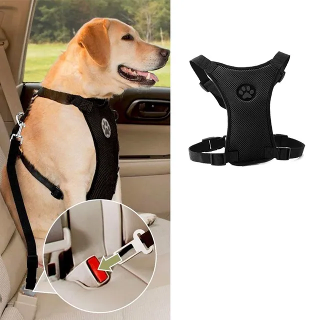 Dog harness with adjustable straps