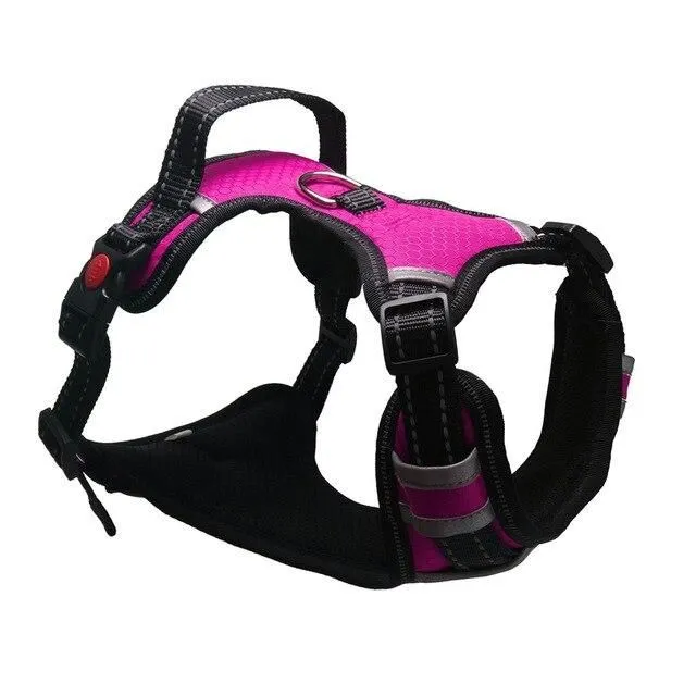 Harness for large dogs purple s-chest-40-70cm