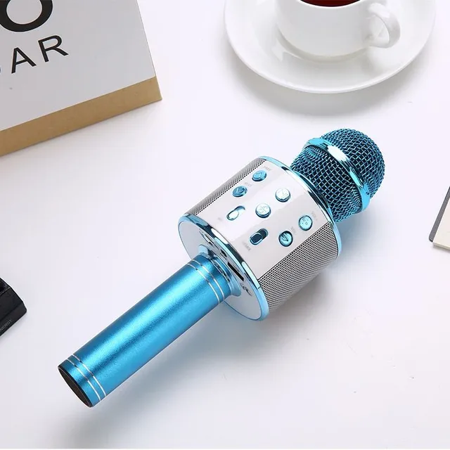 Karaoke microphone with professional settings - various colours Florian