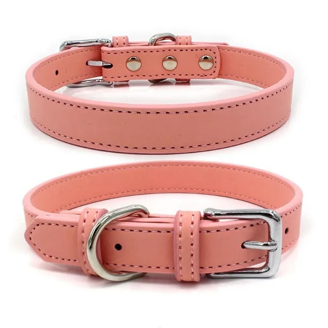 Luxury collar in imitation of skin for cats and dogs of small size - more colors Plinius