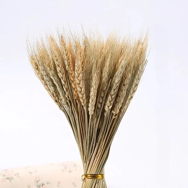 Dekorace do vázy různých barev - pšeničný klas