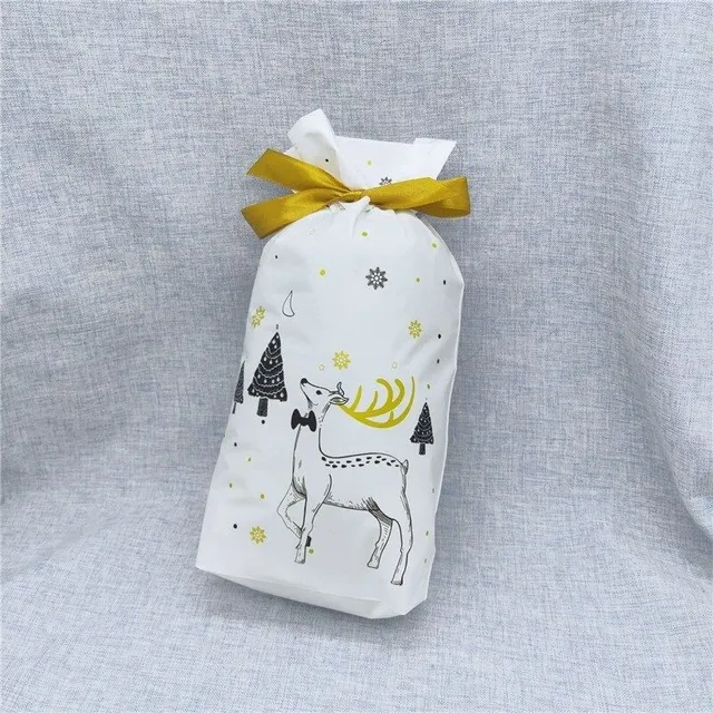 Christmas gift bag 10 pcs