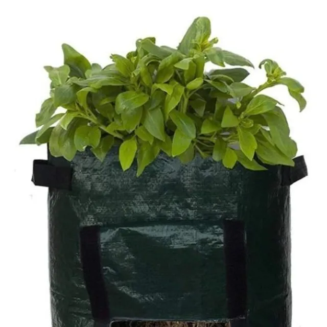 Gardening bag for growing vegetables