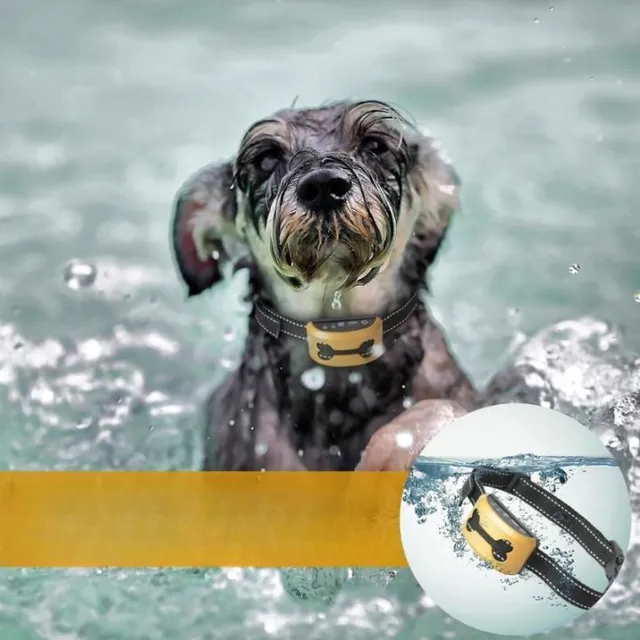 Collier anti-aboiement pour chiens de taille moyenne