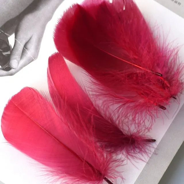 Natural coloured decorative feathers - 100 pcs