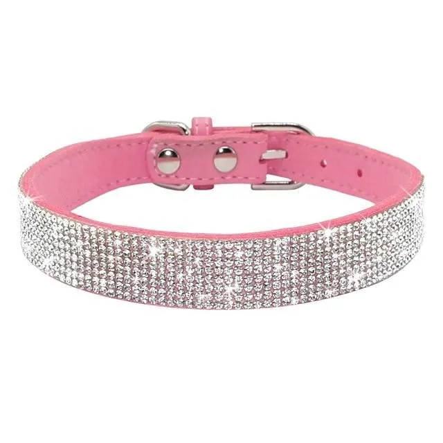 Leather collar for dogs and cats