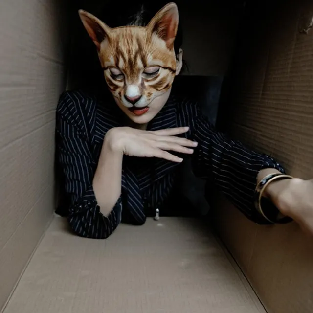 Karnevalová maska pro kočky