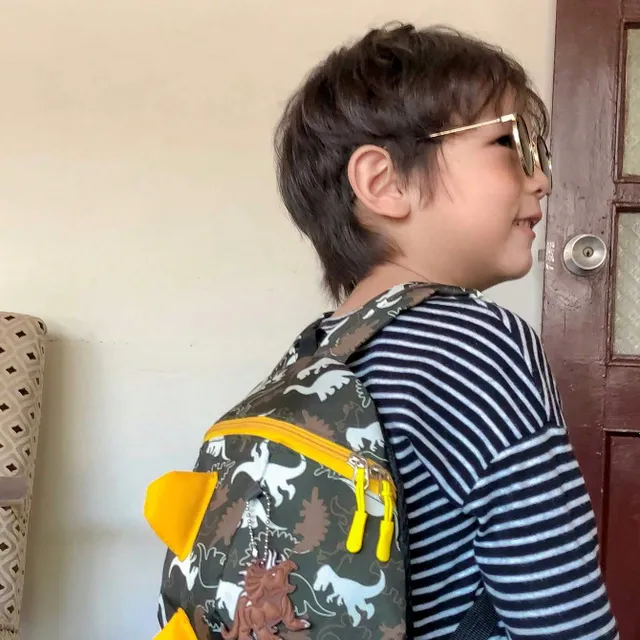 Cute backpack with dinosaur for toddlers - comfortable and stylish