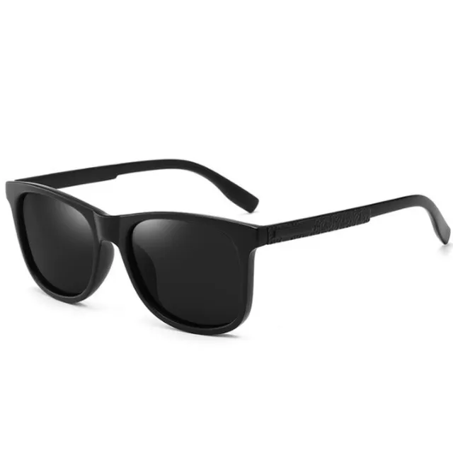 Men's polarized sunglasses Ray