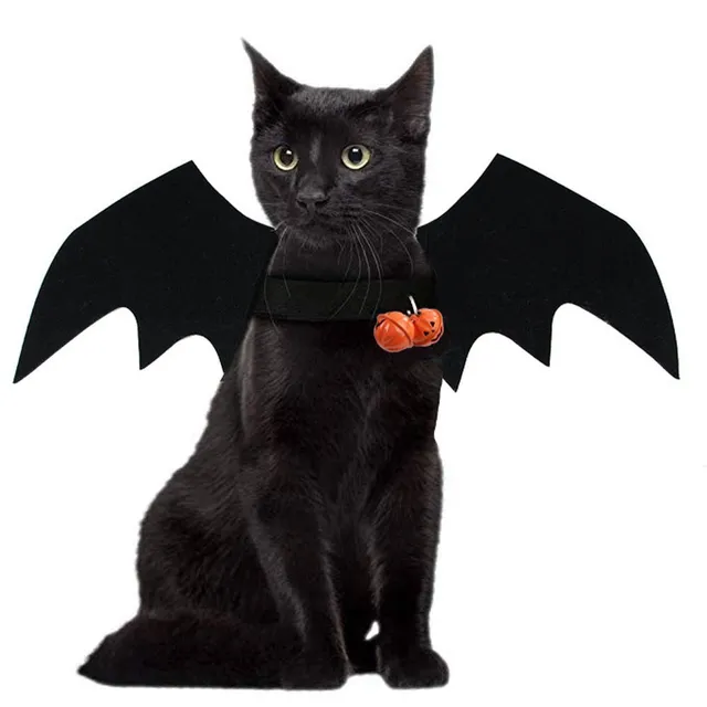 Costume pour animal de compagnie - Ailes de chauve-souris pour Halloween