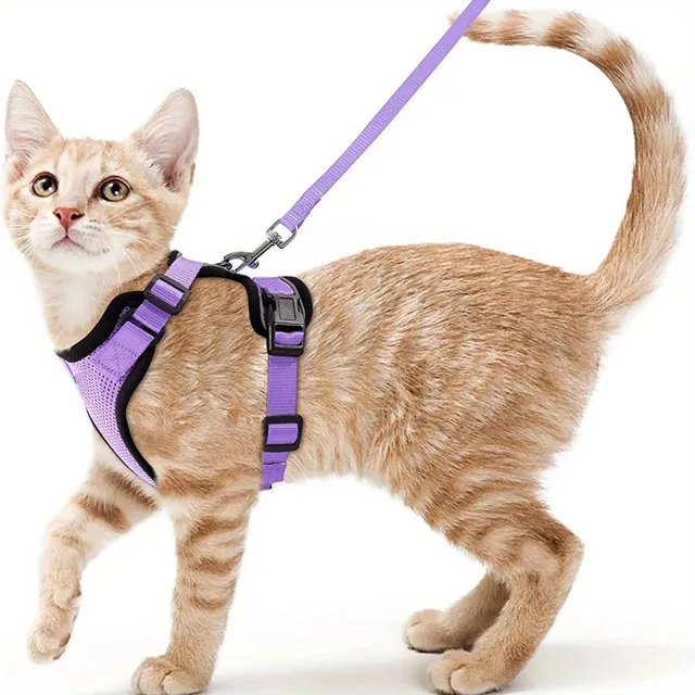 Safety harness and guide for cats - Soft and adjustable, Ideal for walking and exploring