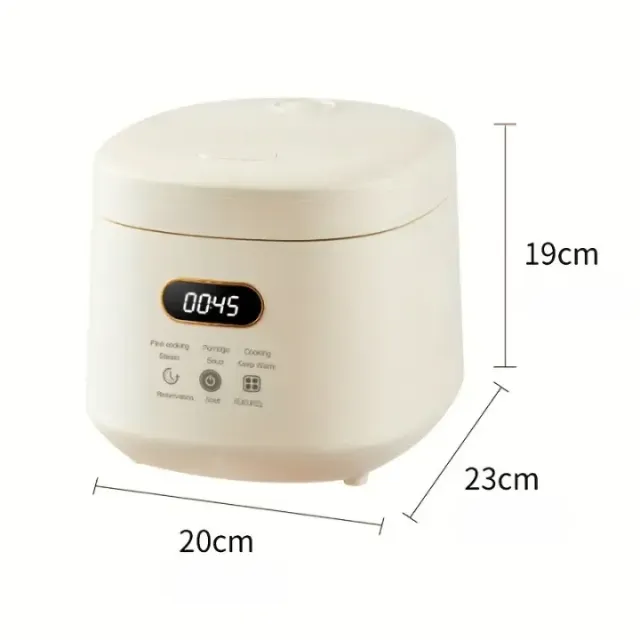 Small multifunctional rice cooker with removable non-stick container