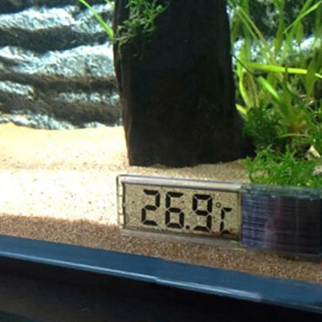 Hőmérő az akvaristák számára