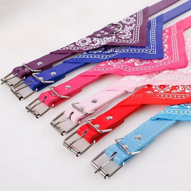 Stylish collar with scarf for dogs