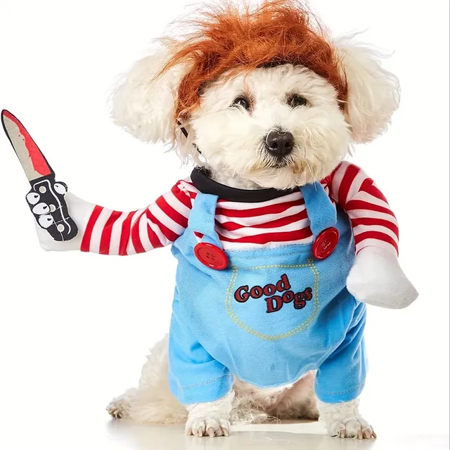 Halloween: Costume of scary dolls for dogs - Cute and scary at the same time