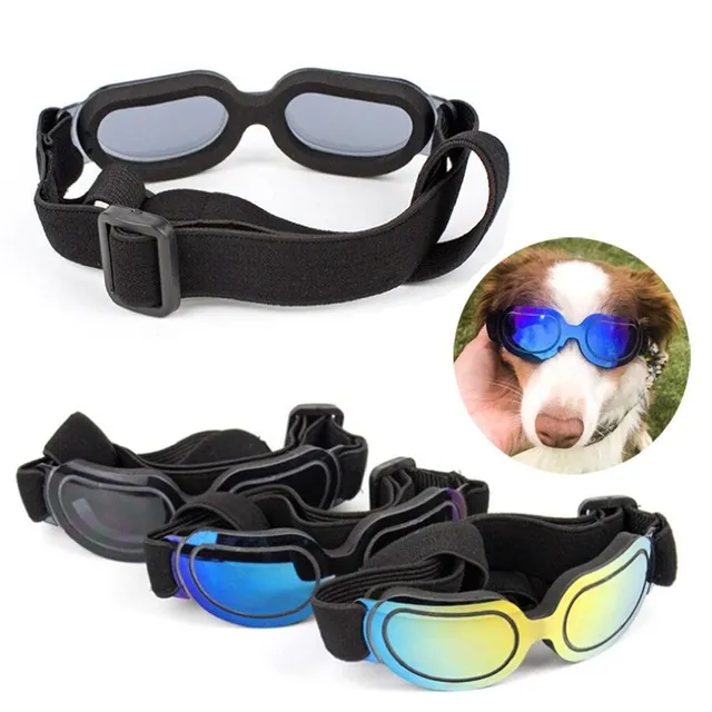 Customizable sunglasses for dog Cheryl