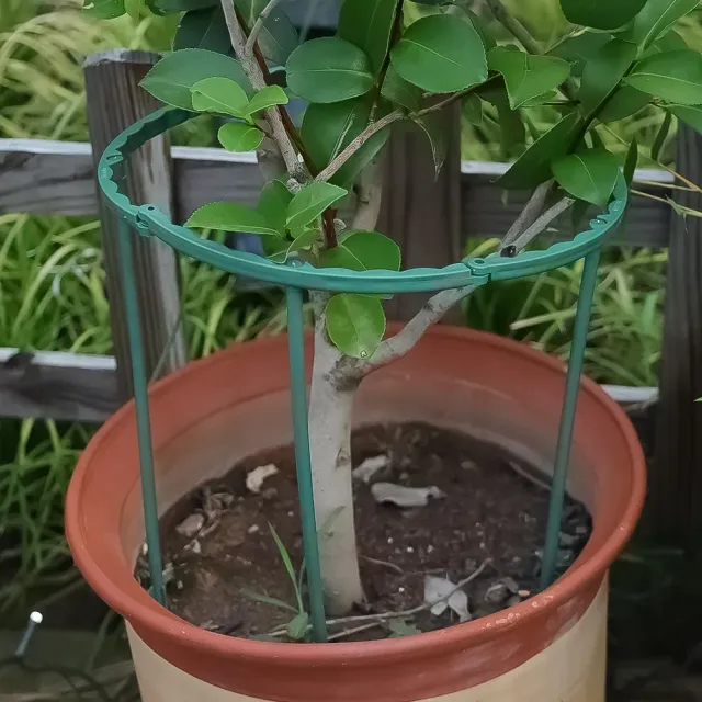 Plastic support for plants - semi-circular frame