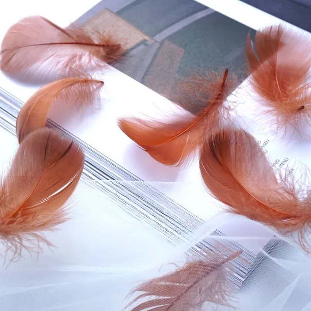 Natural coloured decorative feathers - 100 pcs