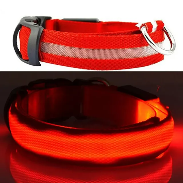 Lighting LED collar for small and medium dogs - for safe night walks