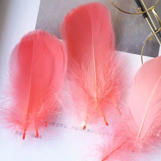 Natural coloured decorative feathers - 100 pcs