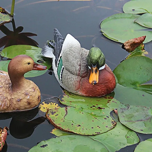 Garden decoration duck