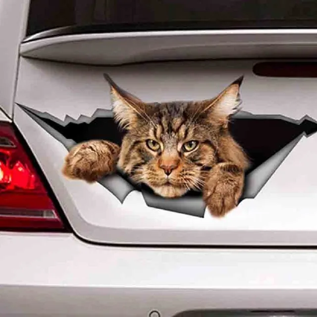 Sticker for car cat
