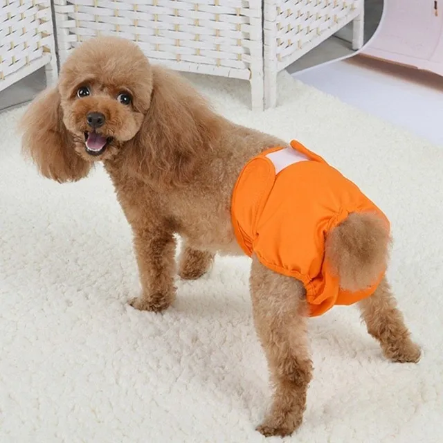 Colored Diapers For Dogs