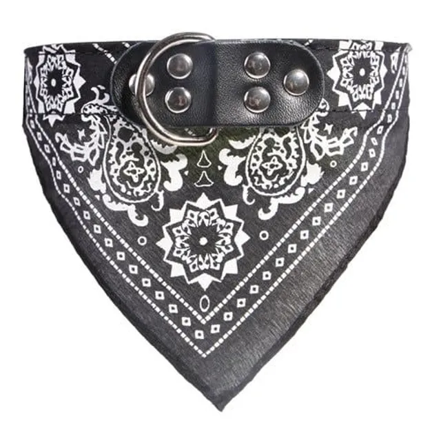 Stylish collar with scarf for dogs