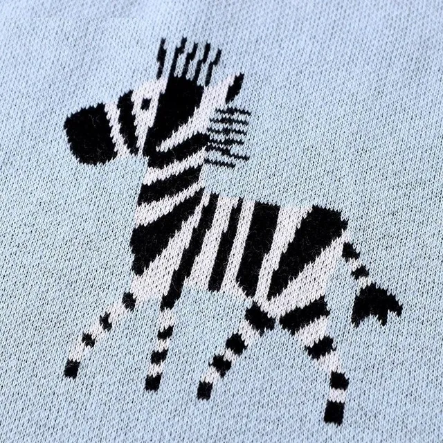 Baby blanket with zebra