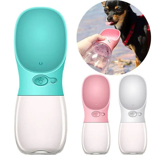 Bottle with water dispenser for dogs and cats