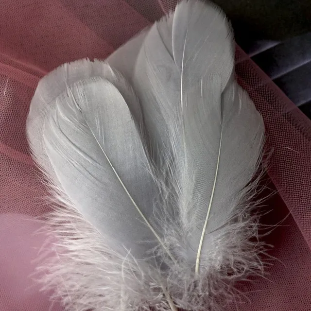 Natural coloured decorative feathers - 100 pcs