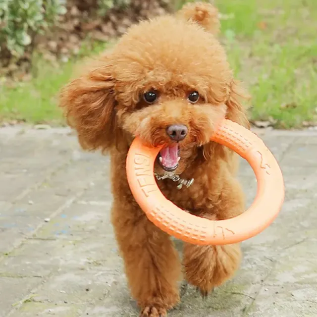 Interactive training flying disc for dogs, durable drag ring