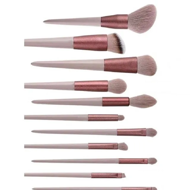 Set de pensule cosmetice 13 bucăți