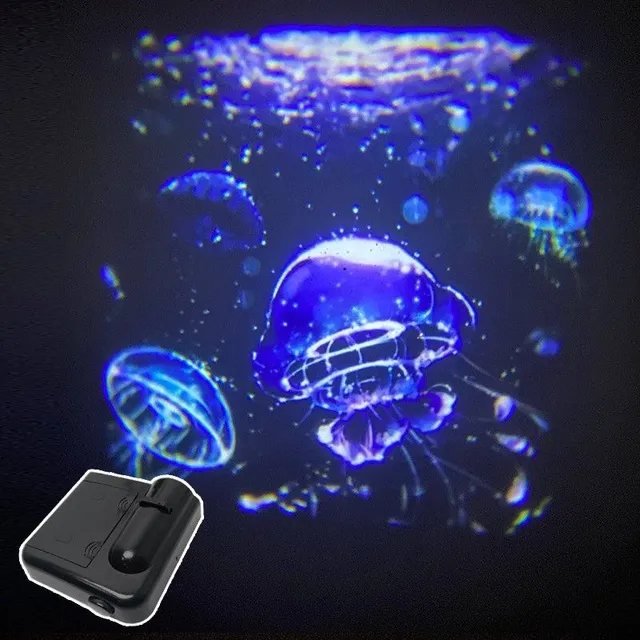 Night sky projector