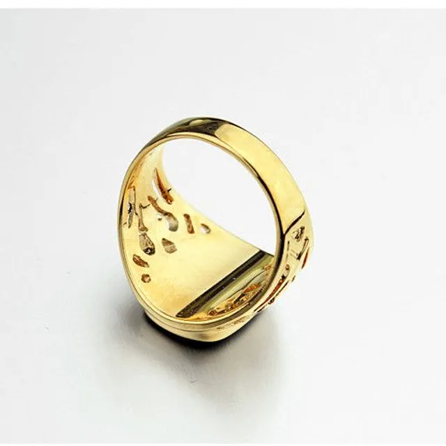 Men's ring with black crystal Dan - gold color