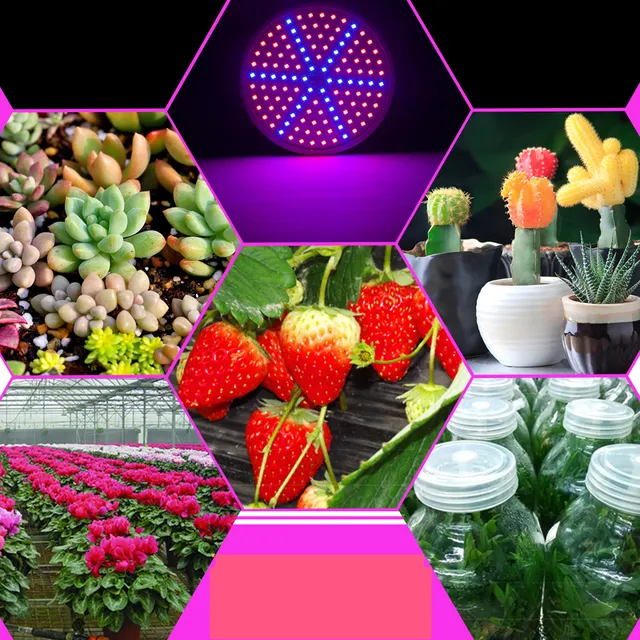 LED-es izzó növények termesztésére