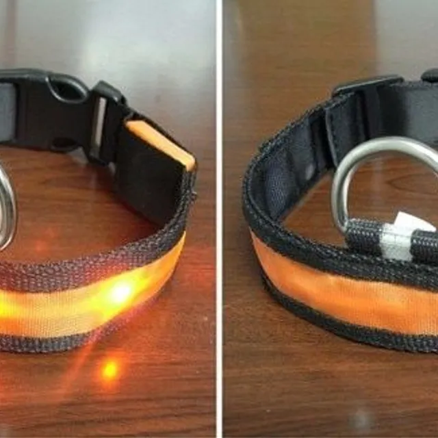 Ware LED light-up collar