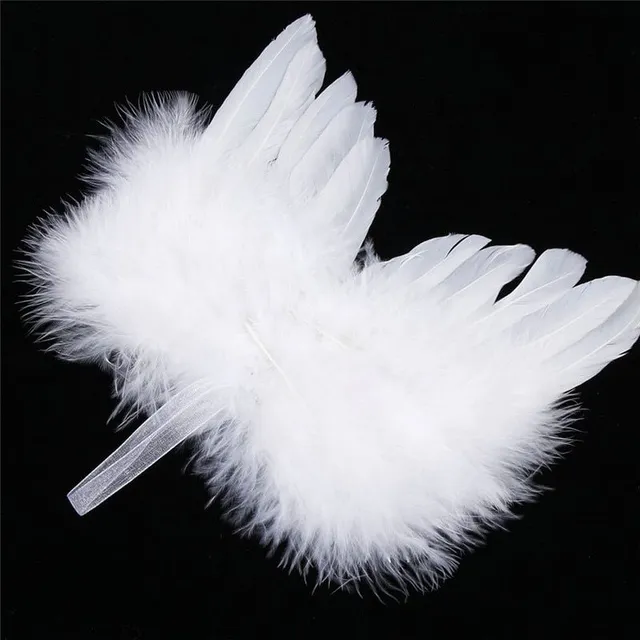 Krásná dekorace andělských křídel (white)