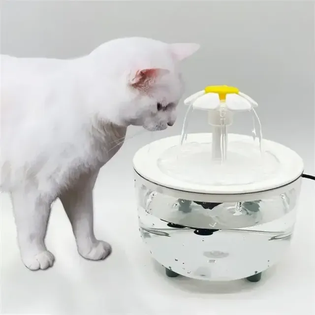 Automatic cat fountain for drinking with USB filter, electric, quiet bowl for drinking for pets