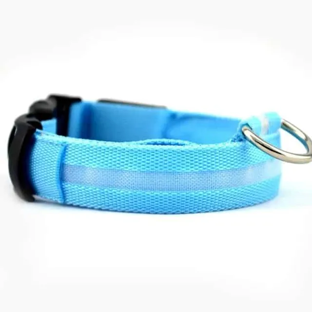 Luminous nylon collar for dogs