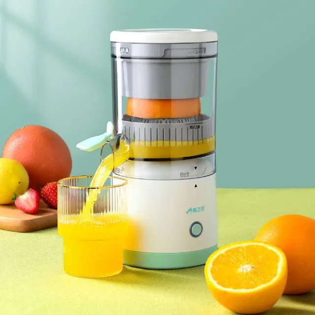 Electric juicer