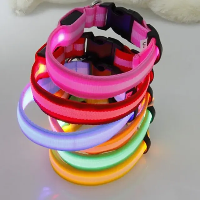 Lighting LED collar for small and medium dogs - for safe night walks