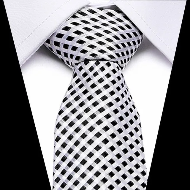 Men's luxury business tie Brock