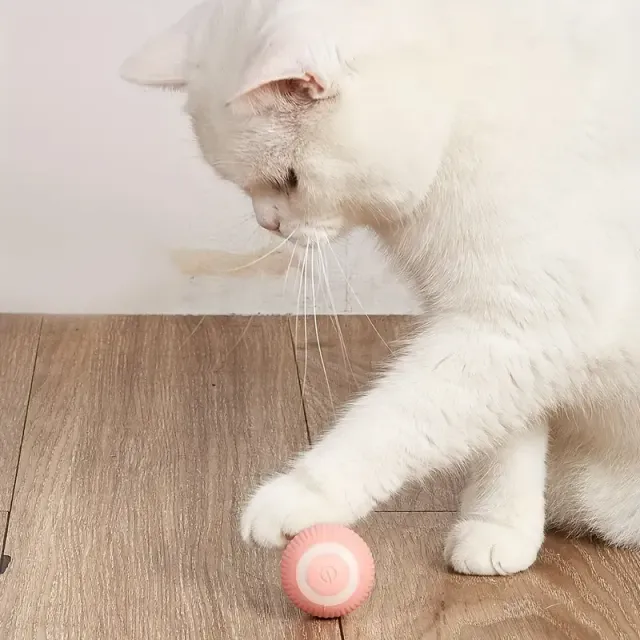 Interactive electric ball for cats - USB