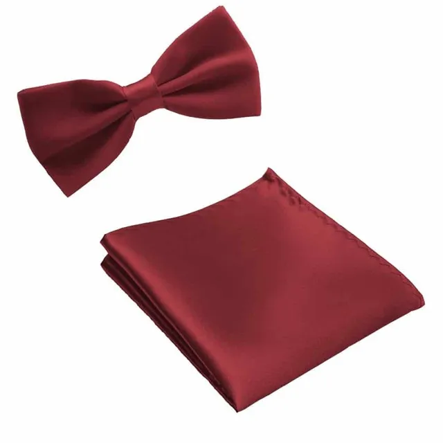 Men's luxury set | Bow tie, Handkerchief burgundy