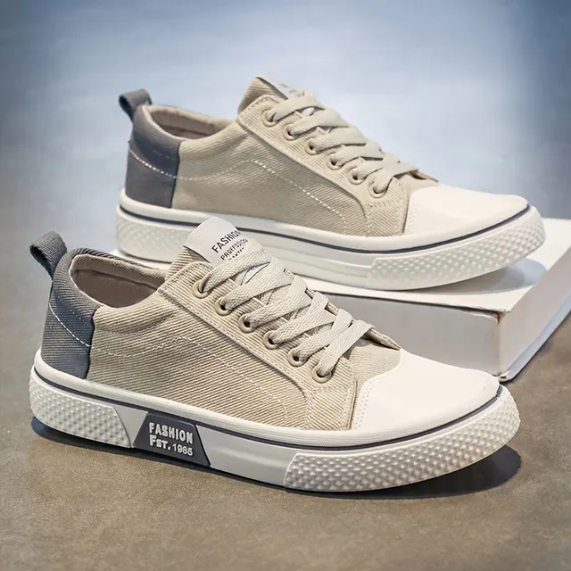 Men's canvas sneakers with low profile and lace, breathable and light skateboard shoes for spring, summer and autumn