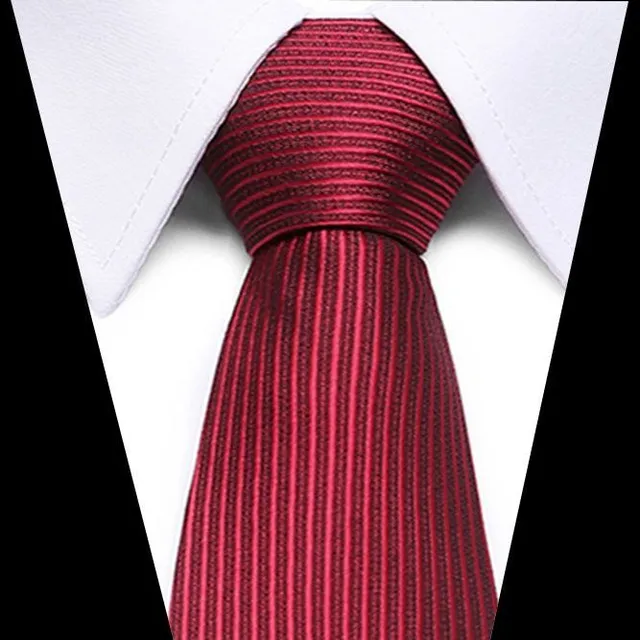 Men's luxury business tie Brock