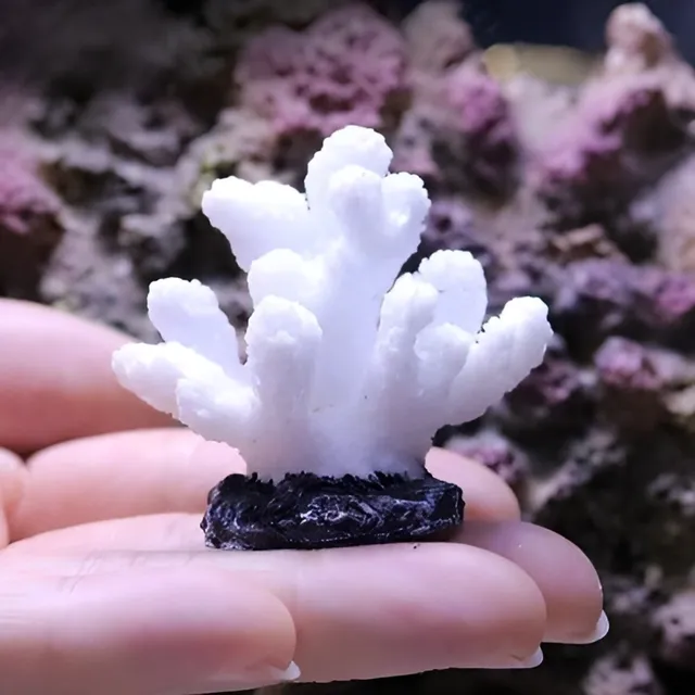 Artificial coral into the aquarium