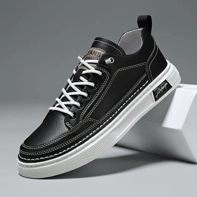 Stylish and comfortable men's low sneakers for skateboarding and common wearing