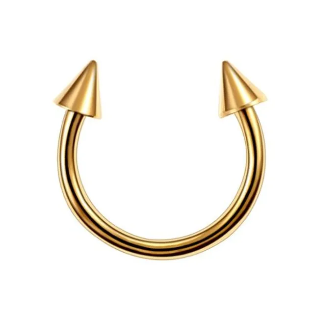 Trendy septum nose piercing with a spike or ball